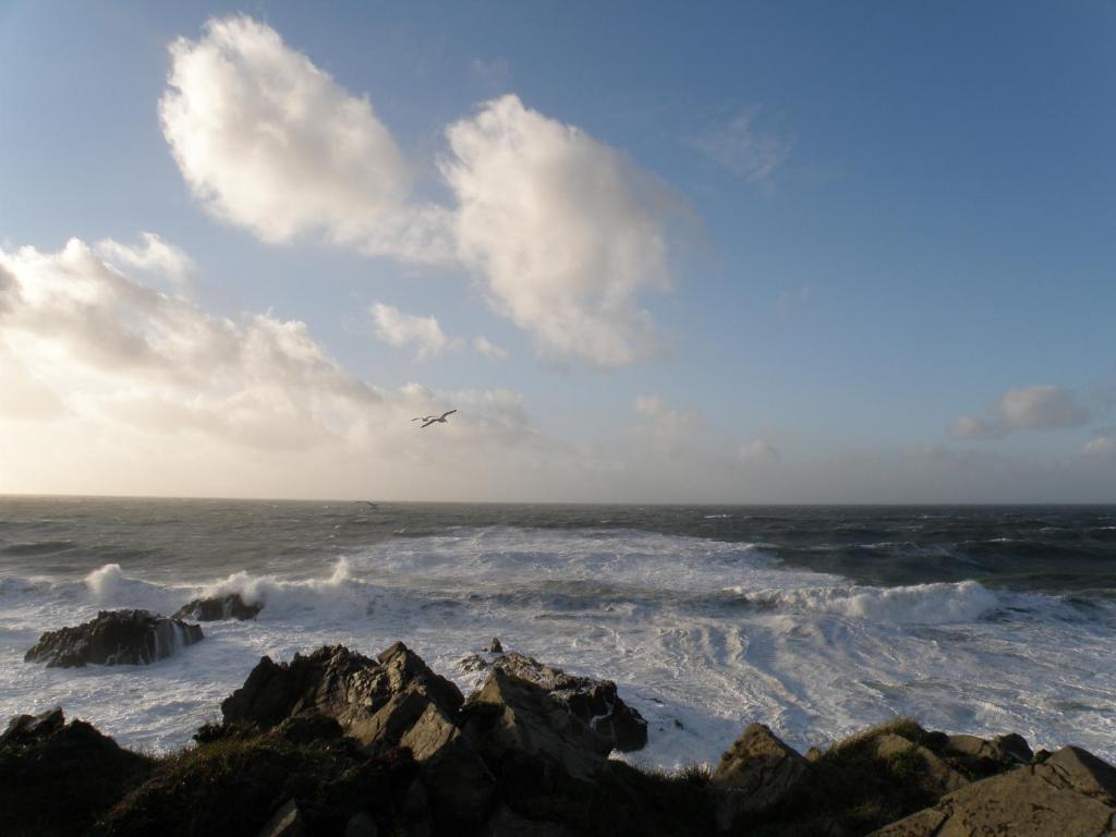 Hartland Quay Hotel Bilik gambar