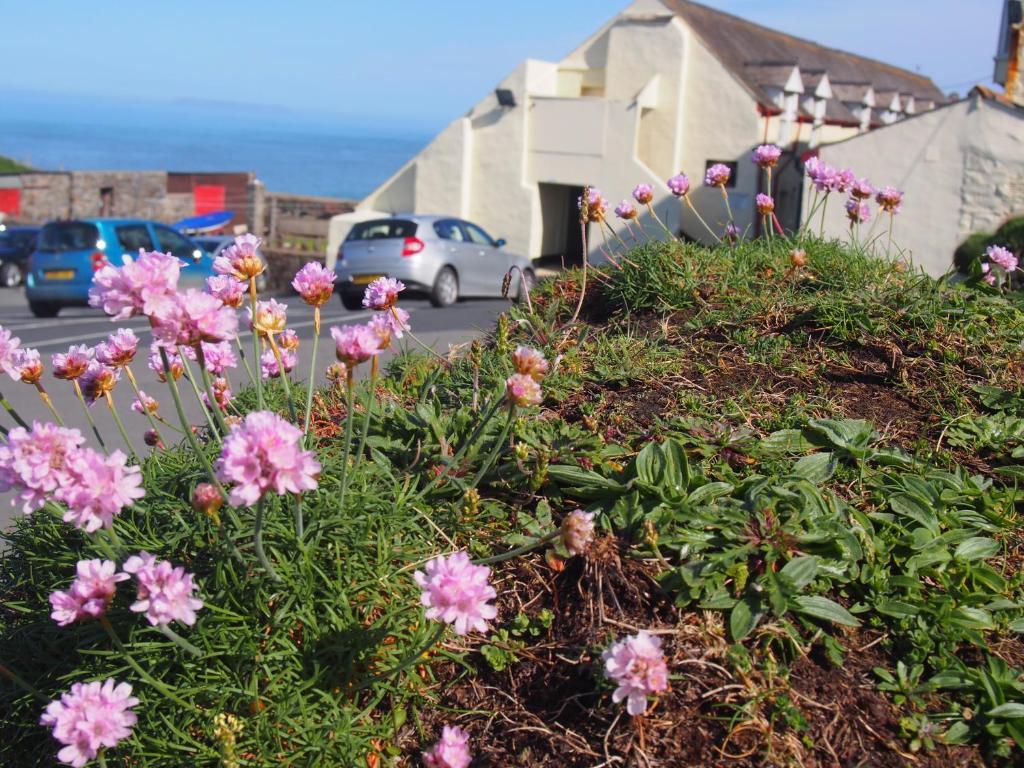 Hartland Quay Hotel Bilik gambar